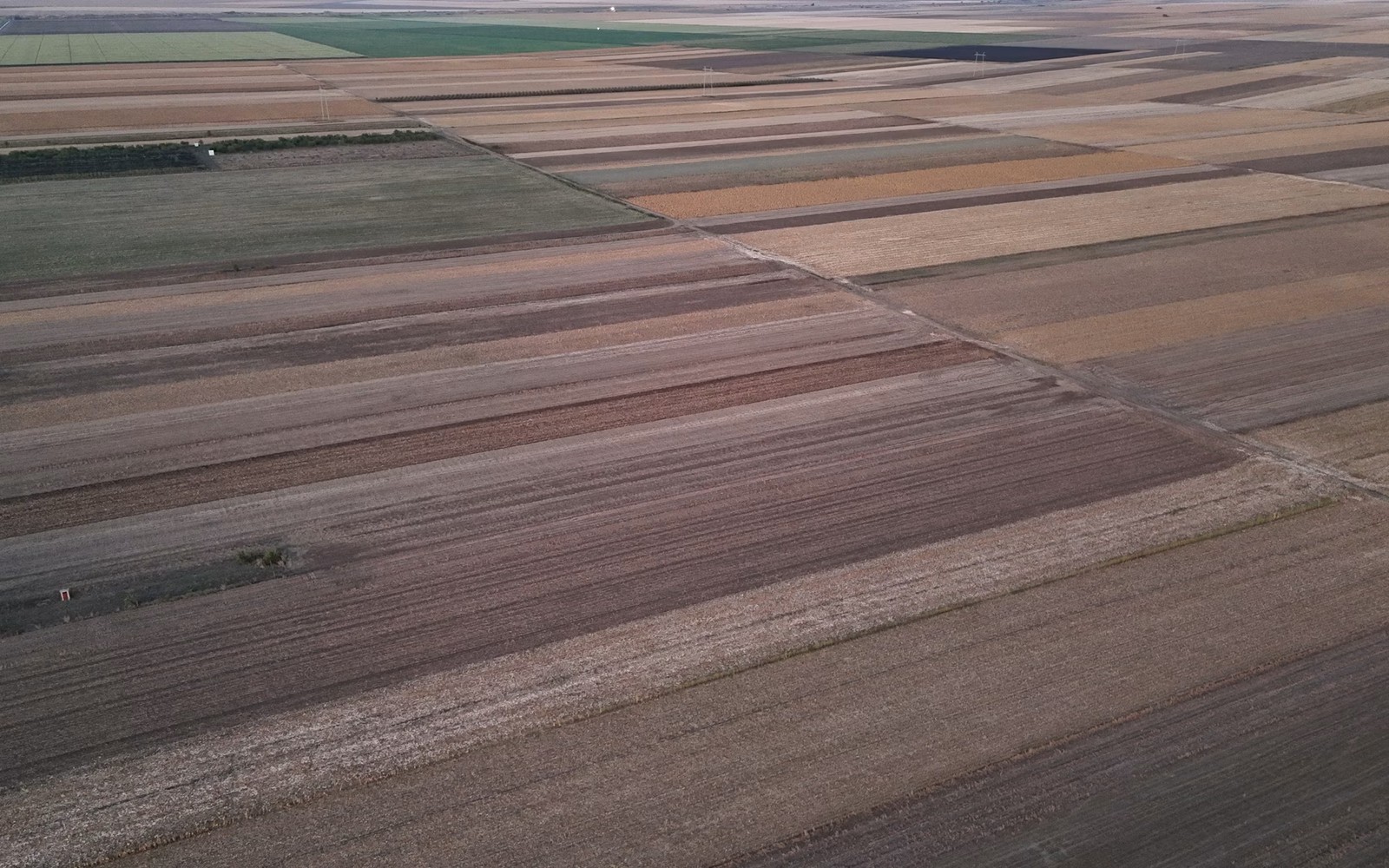 1031 From Farmland Into Minerals